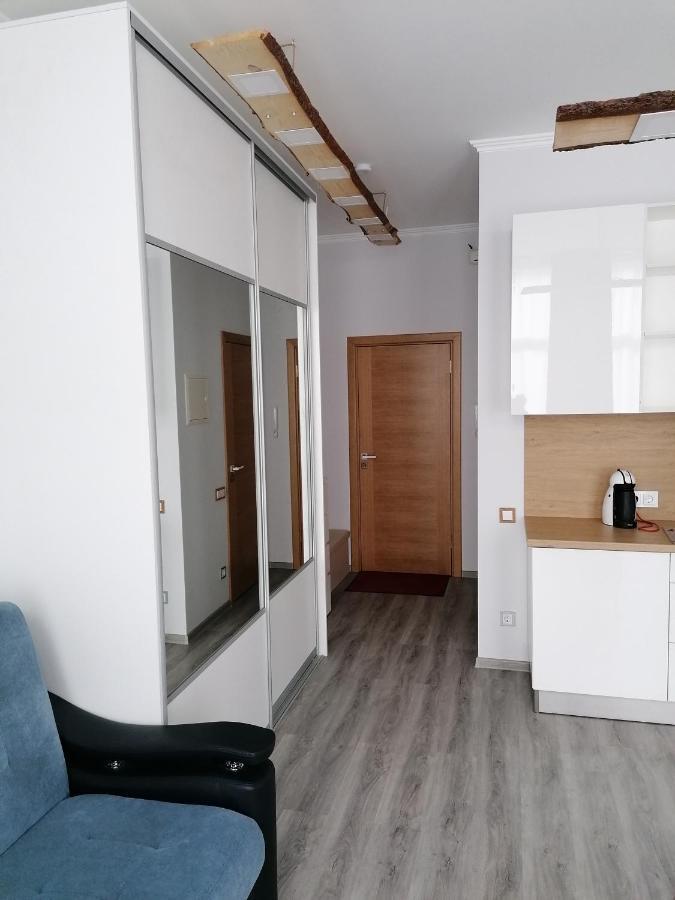 Palm Apartment Studio 里加 外观 照片